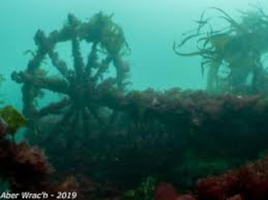 Gite Entre Mer Et Abers Landéda Extérieur photo