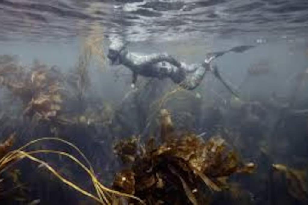 Gite Entre Mer Et Abers Landéda Extérieur photo