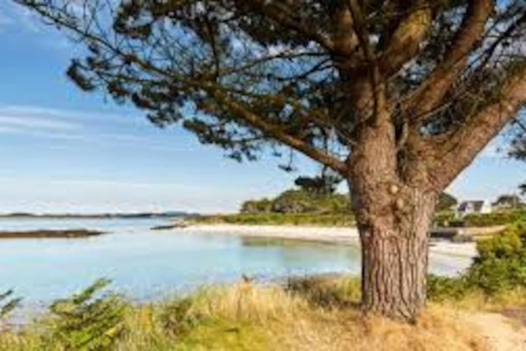 Gite Entre Mer Et Abers Landéda Extérieur photo